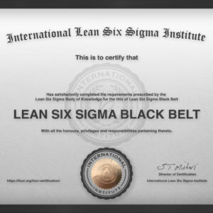 Lean Six Sigma Black Belt ILSSI International Accredited