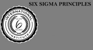 SIX SIGMA PRINCIPLES