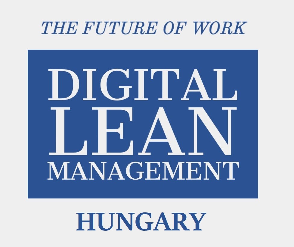 Frederic Brouillet Digital Lean Management Hungary ILSSI Partner