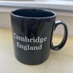 ILLSI-mug-2b