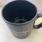 ILLSI-mug-2c